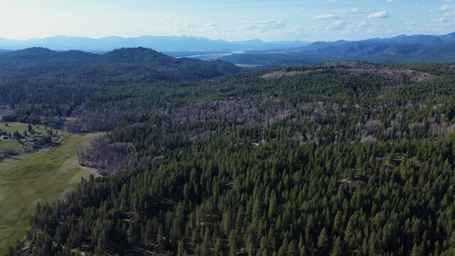 NNA Sleepy Hollow Ln, Newport, WA 99156 - photo 16