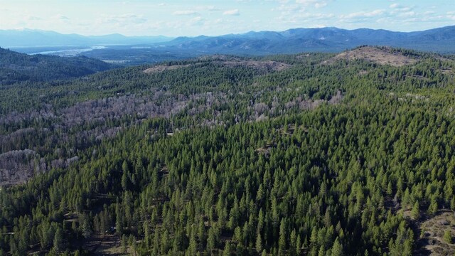 NNA Sleepy Hollow Ln, Newport, WA 99156 - photo 18