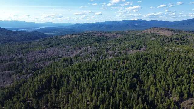 NNA Sleepy Hollow Ln, Newport, WA 99156 - photo 19