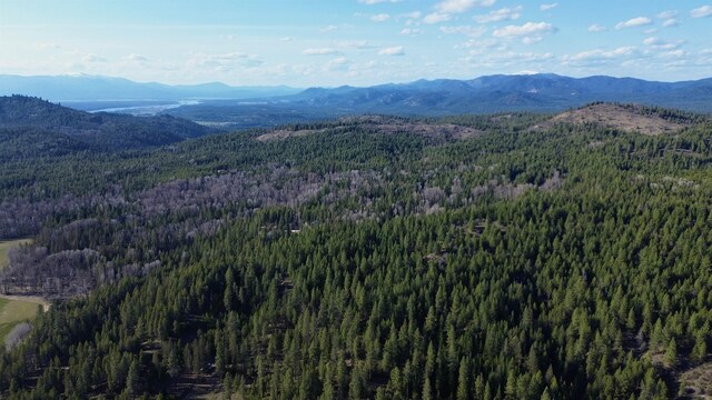 NNA Sleepy Hollow Ln, Newport, WA 99156 - photo 20