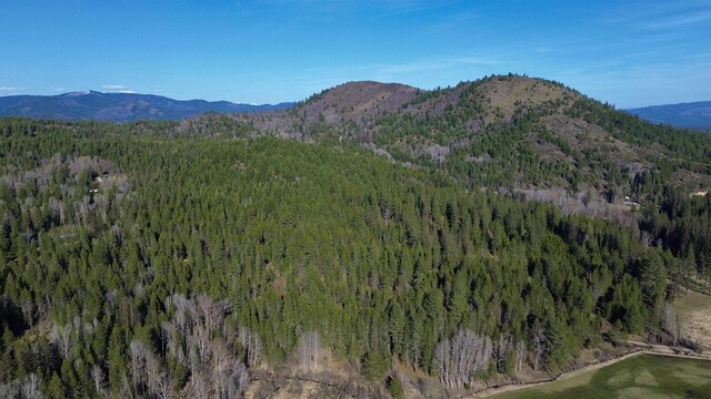 NNA Sleepy Hollow Ln, Newport, WA 99156 - photo 3
