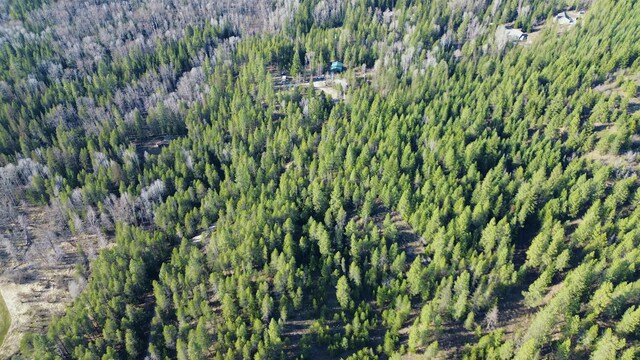 NNA Sleepy Hollow Ln, Newport, WA 99156 - photo 25