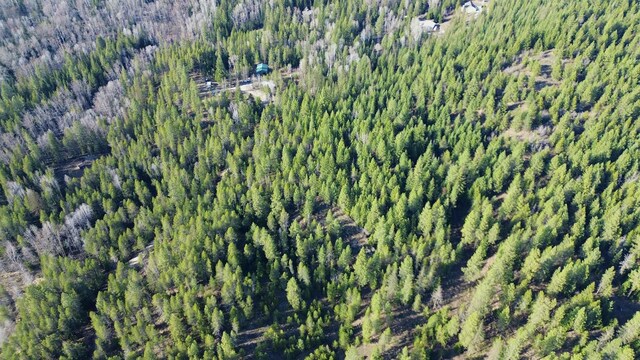 NNA Sleepy Hollow Ln, Newport, WA 99156 - photo 26