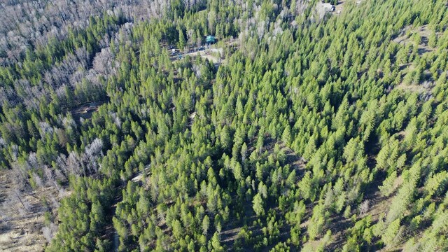 NNA Sleepy Hollow Ln, Newport, WA 99156 - photo 27