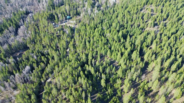 NNA Sleepy Hollow Ln, Newport, WA 99156 - photo 28