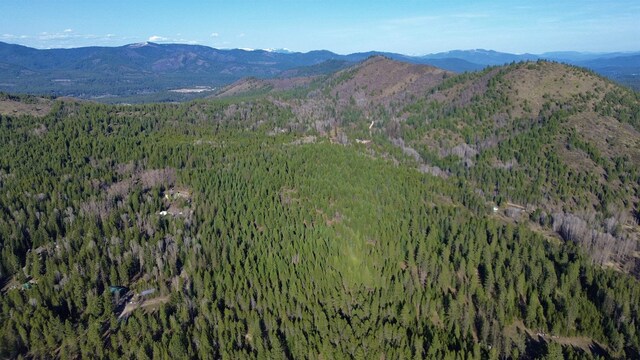 NNA Sleepy Hollow Ln, Newport, WA 99156 - photo 34