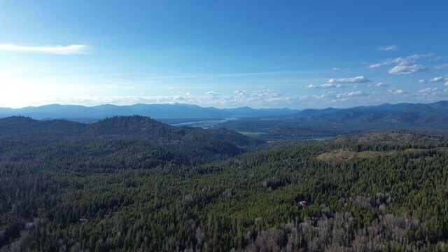 NNA Sleepy Hollow Ln, Newport, WA 99156 - photo 35