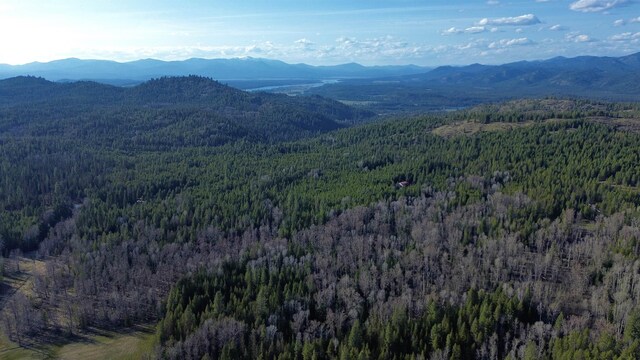 NNA Sleepy Hollow Ln, Newport, WA 99156 - photo 37