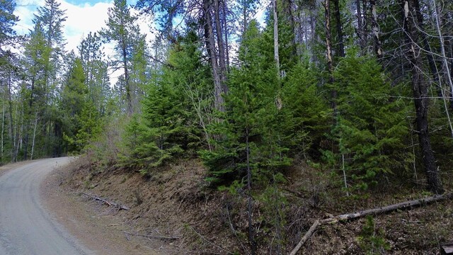 NNA Sleepy Hollow Ln, Newport, WA 99156 - photo 38