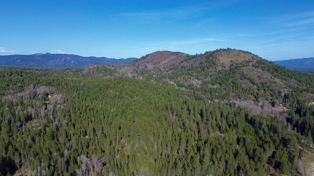 NNA Sleepy Hollow Ln, Newport, WA 99156 - photo 5