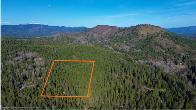 NNA Sleepy Hollow Ln, Newport, WA 99156 - photo 8