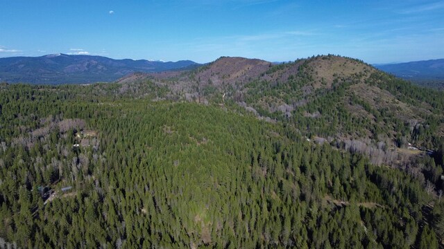 NNA Sleepy Hollow Ln, Newport, WA 99156 - photo 9