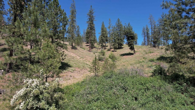 5550 Scotts Valley Rd, Deer Park, WA 99006