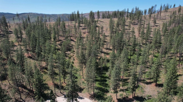 5550 Scotts Valley Rd, Deer Park, WA 99006