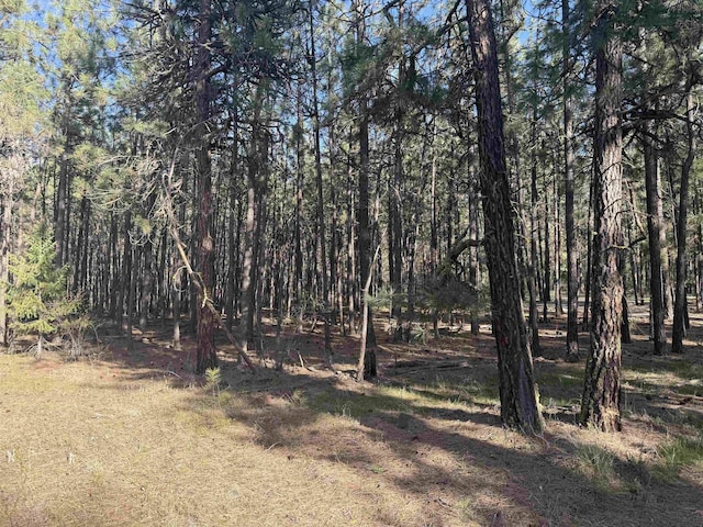 Listing photo - caption unavailable