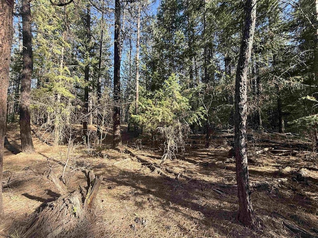 Listing photo - caption unavailable