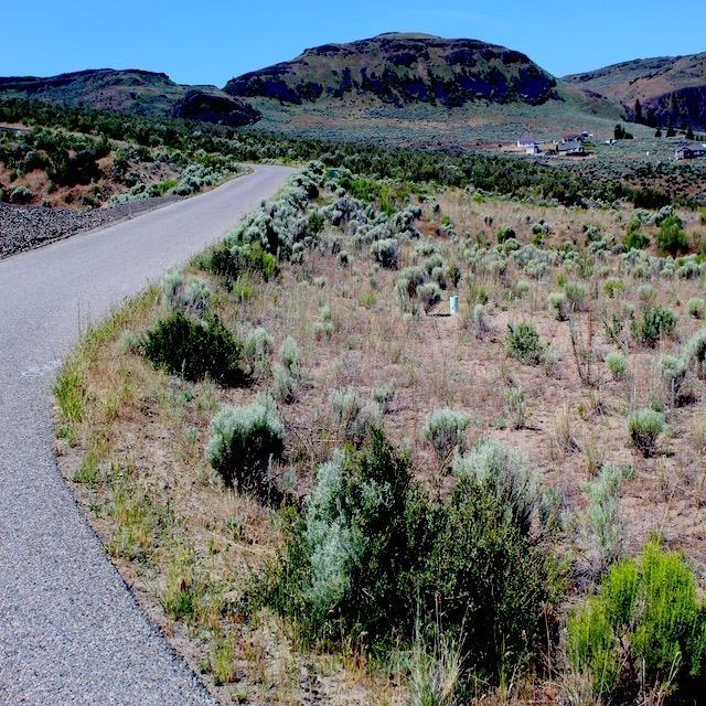 45905 Fdr Estates N Drive, Grand Coulee, WA 99133 - photo 14