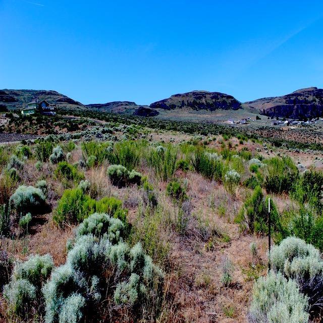 45905 Fdr Estates N Drive, Grand Coulee, WA 99133 - photo 18