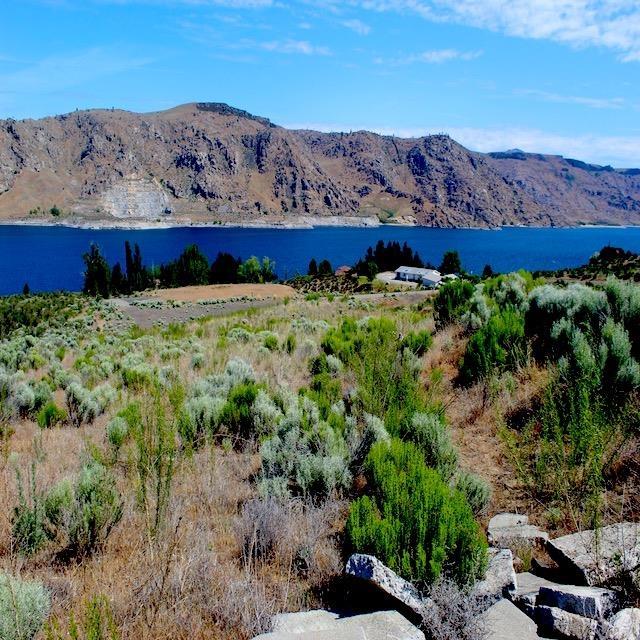 45905 Fdr Estates N Drive, Grand Coulee, WA 99133 - photo 3