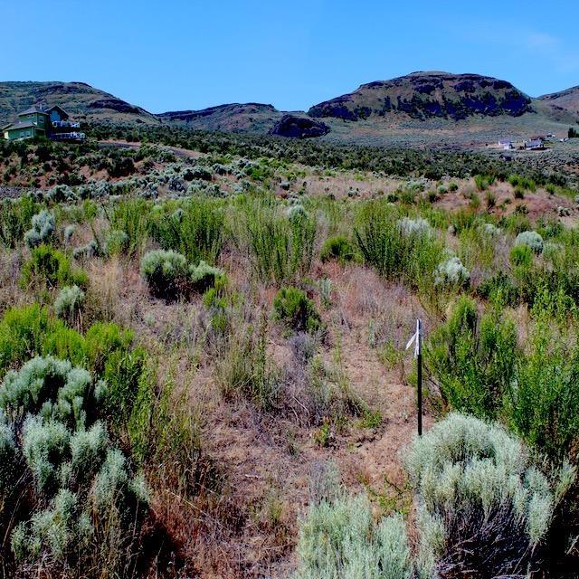 45905 Fdr Estates N Drive, Grand Coulee, WA 99133 - photo 4