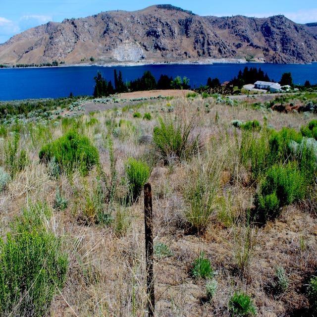 45905 Fdr Estates N Drive, Grand Coulee, WA 99133 - photo 6