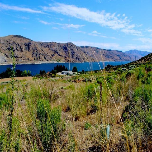 45905 Fdr Estates N Drive, Grand Coulee, WA 99133 - photo 7