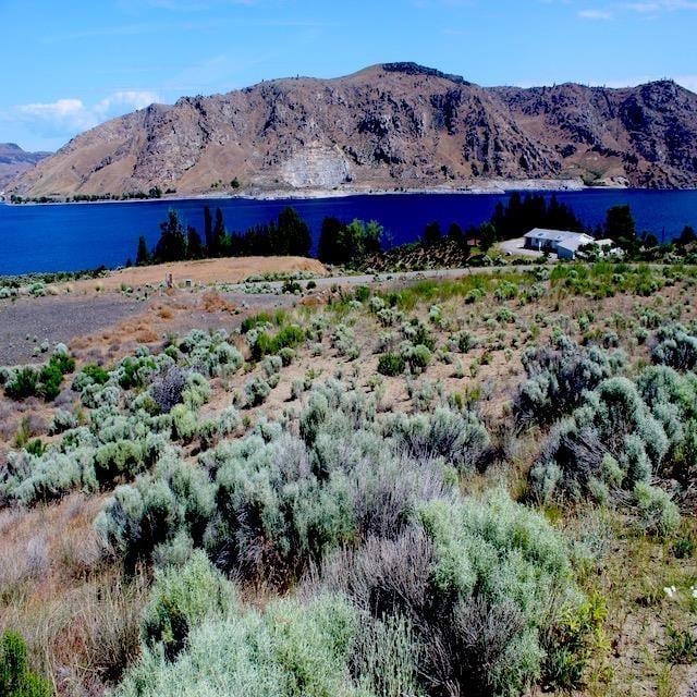 45905 Fdr Estates N Drive, Grand Coulee, WA 99133 - photo 9