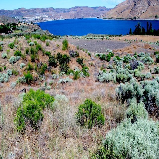45905 Fdr Estates N Drive, Grand Coulee, WA 99133 - photo 10