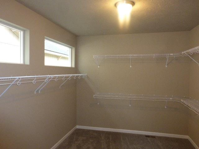 3223 S Custer Ln, Spokane, WA 99223 - spacious closet with dark colored carpet