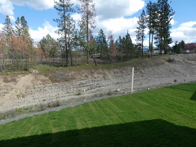 3223 S Custer Ln, Spokane, WA 99223 - view of yard