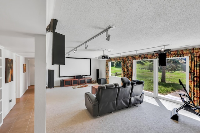 128C Buena Vista Rd, Colville, WA 99114 - cinema featuring track lighting, carpet flooring, tile patterned floors, and a textured ceiling