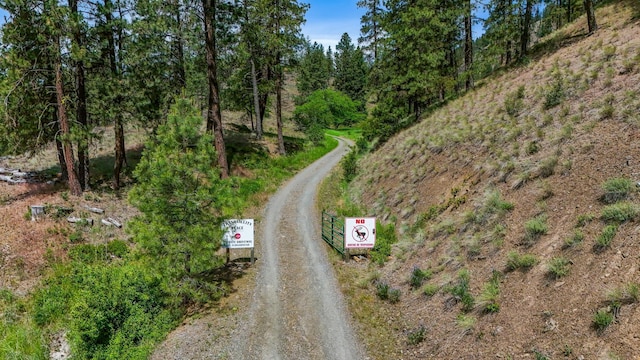 128C Buena Vista Rd, Colville, WA 99114 - view of dirt / gravel road