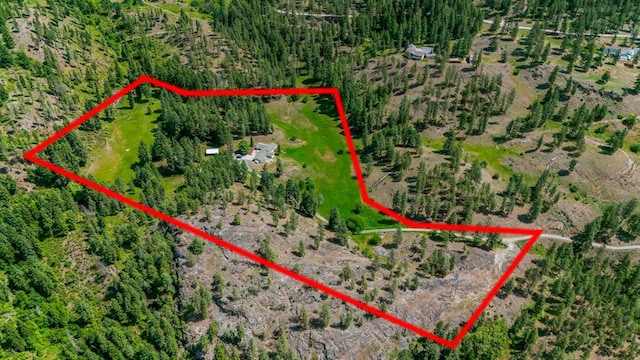128C Buena Vista Rd, Colville, WA 99114 - aerial overview of property's location with property boundaries highlighted