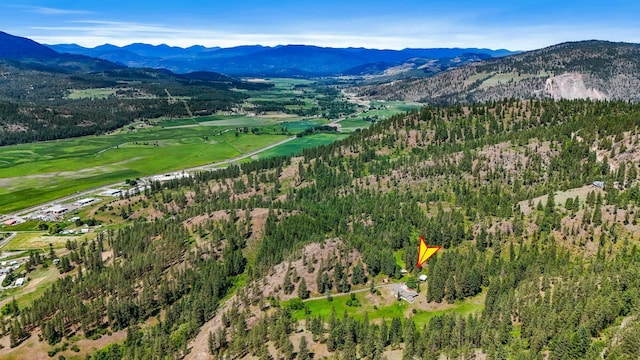 128C Buena Vista Rd, Colville, WA 99114 - bird's eye view of a mountainous background and a heavily wooded area