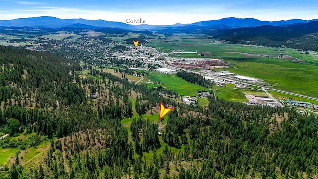 128C Buena Vista Rd, Colville, WA 99114 - view of property location featuring a mountainous background