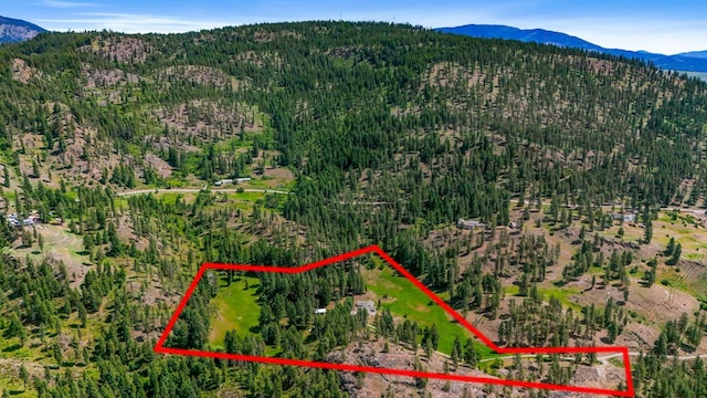 128C Buena Vista Rd, Colville, WA 99114 - aerial view of property and surrounding area featuring a mountain backdrop, a heavily wooded area, and property parcel outlined