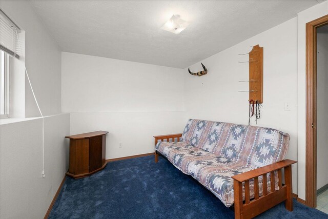 13715 E Rich Ave, Spokane Valley, WA 99216 - sitting room with baseboards and carpet floors