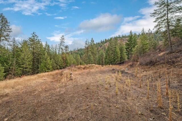 31293 E Blue Grouse Dr, Davenport, WA 99122 - photo 11