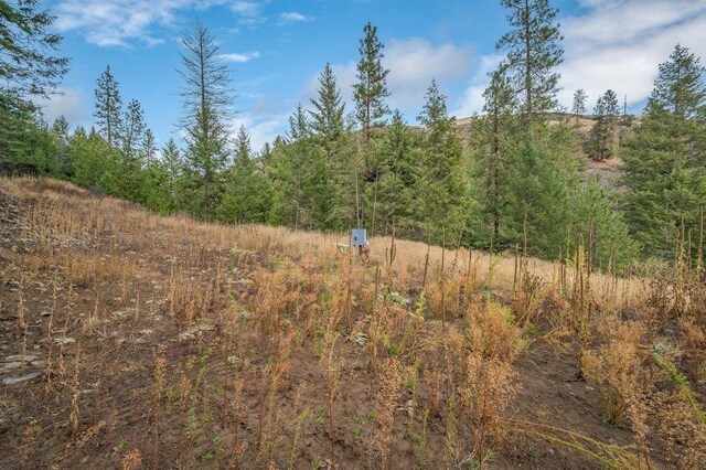31293 E Blue Grouse Dr, Davenport, WA 99122 - photo 14
