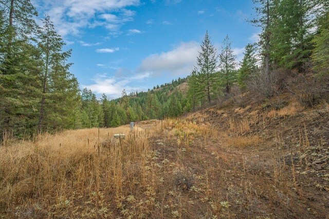 31293 E Blue Grouse Dr, Davenport, WA 99122 - photo 15