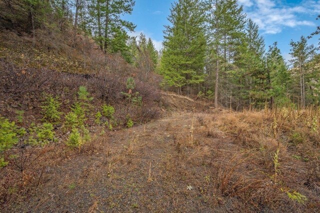 31293 E Blue Grouse Dr, Davenport, WA 99122 - photo 17