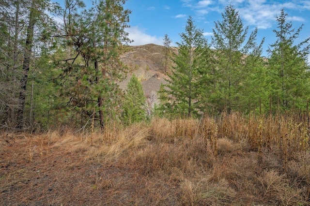 31293 E Blue Grouse Dr, Davenport, WA 99122 - photo 18