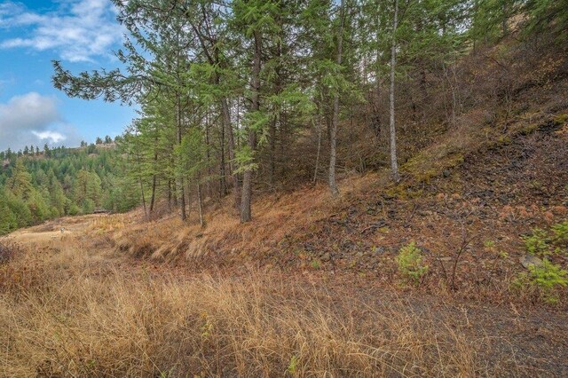 31293 E Blue Grouse Dr, Davenport, WA 99122 - photo 19