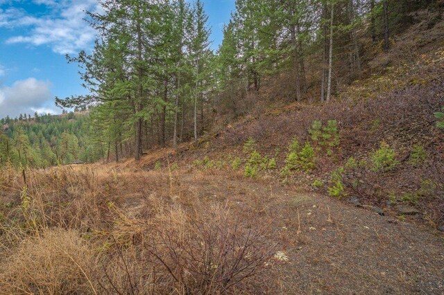 31293 E Blue Grouse Dr, Davenport, WA 99122 - photo 20