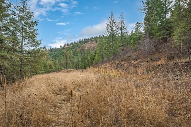 31293 E Blue Grouse Dr, Davenport, WA 99122 - photo 21