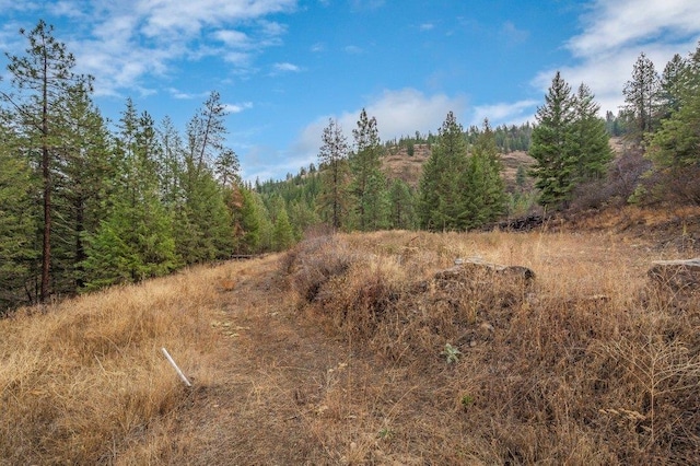 31293 E Blue Grouse Dr, Davenport, WA 99122 - photo 22