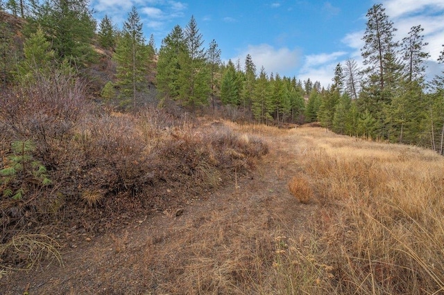 31293 E Blue Grouse Dr, Davenport, WA 99122 - photo 23