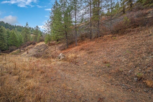31293 E Blue Grouse Dr, Davenport, WA 99122 - photo 24