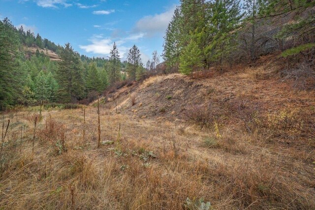 31293 E Blue Grouse Dr, Davenport, WA 99122 - photo 25