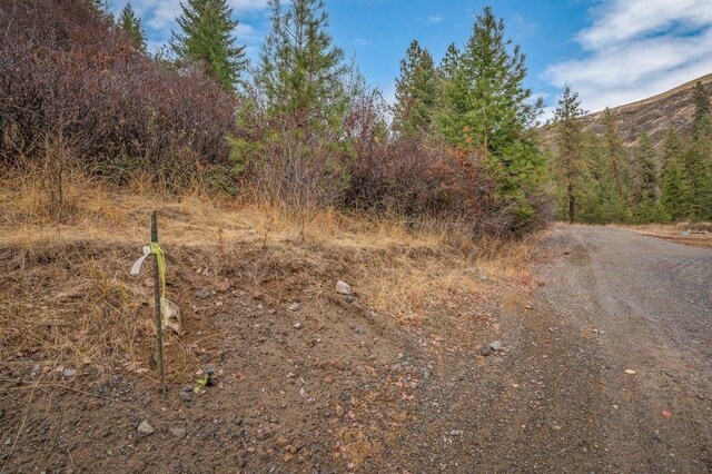 31293 E Blue Grouse Dr, Davenport, WA 99122 - photo 26